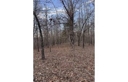 County Road 470, Rector, AR 72461