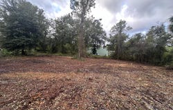 323 CARTERET Road, Georgetown, FL 32139