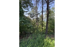 1579 Dallas Court, Ranger, GA 30734