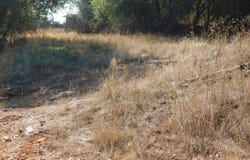 20556 Columbia WAY, Sonora, CA 95370