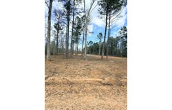NHN Antler Ridge LOT A, Poplarville, MS 39470