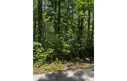 0 Ryan Road, Wellington, KY 40387