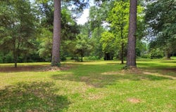 2134 FM 353, San Augustine, TX 75972