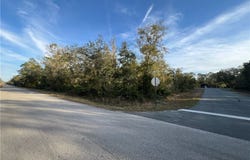 9919 N Pink Moss Point, Crystal River, FL 34428