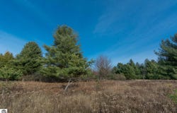 0000 E BELLINGER ROAD, CEDAR, MI 49621
