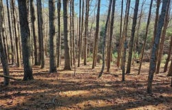 Lot 82 Mcintosh Drive, Lowgap, NC 27024