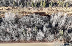 Parcel B Parameter Road, Deer River, MN 56636