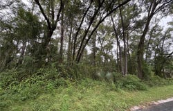 6033 E DELL Lane, INVERNESS, FL 34452