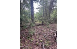 Abraham Street, Alford, FL 32420