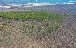 LOT66&67 BAKER MOUNTAIN DRIVE, WARDENSVILLE, WV 26851