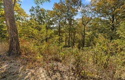 Lot 26 Peaceful  PL, Harrison, AR 72601