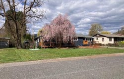 750 LARCH ST, KETTLE FALLS, WA 99141