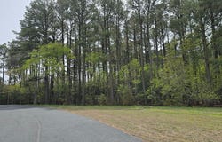 HIGH ST lot: 77**, ACCOMAC, VA 23301