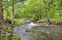 20414 Azen Road, Damascus, VA 24236