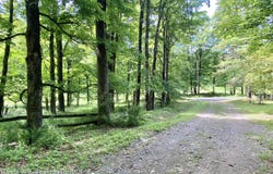 337 Tempaloni Road, Spring Glen, NY 12483