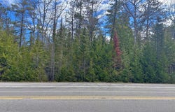 E Grand Lake Road lot: 202 & 203, Presque Isle, MI 49777