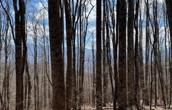 Woodfin Road, Sylva, NC 28779