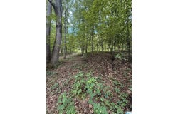 0 COUNTY ROAD 228, MAPLESVILLE, AL 36750
