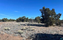 Navajo Way Road, Quemado, NM 87829