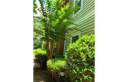 1428 Orchard Park Drive, Stone Mountain, GA 30083