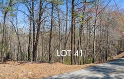 Lot 41 Tomahawk Lane, Mineral Bluff, GA 30559