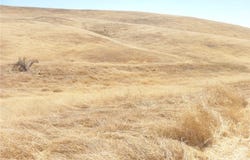 0 Douglas Rd. (Lot 43), San Miguel, CA 93451