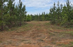 09 Marvin Murphy Road, Ellaville, GA 31806
