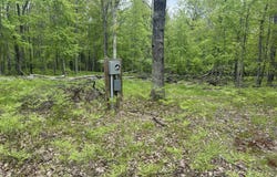 9846 W Oxpath, Baldwin, MI 49304