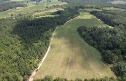 0 County Road 4, Hartford, AL 36344