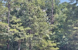 2519 Greers Ferry Rd, Greers Ferry, AR 72067