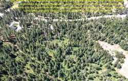 2443 EAGLE LAMBERT RD, CHEWELAH, WA 99109