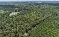 0 Sinquefield Rod, Harrison, GA 31035