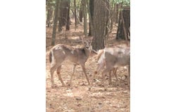 208/209 BLUE FISH LN lot: 208-9, MACHIPONGO, VA 23405