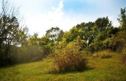 Lot #1 N 3rd Street, Louisburg, KS 66053