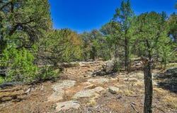 Rikki Rowdy Place, Aguilar, CO 81020
