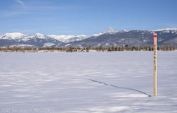 1253 WILD GINGER Court, Driggs, ID 83422