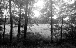 BEAR HILL ROAD, OLDTOWN, MD 21555