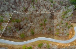 Lot 44 Bucktail, Talking Rock, GA 30175