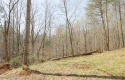 Seven Island Road, Danbury, NC 27016