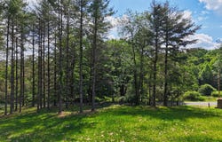 TBD Dogwood LN, Willis, VA 24380