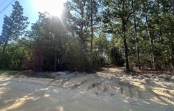 TBD Gary Hallman Road, Leesville, SC 29070