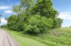 0 Fulton Creek Road, Richwood, OH 43344