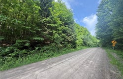 7420 Feather Street, Springwater, NY 14512