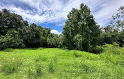 1401 N FULLERS CROSS ROAD, WINTER GARDEN, FL 34787