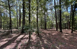 01 McHan Drive and Chickamauga Drive, Zwolle, LA 71486