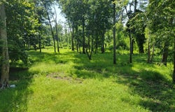 000 Rokofee Road, Vidalia, LA 71373