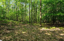 4139 Cranberry Lane, Williamsburg, MI 49690-8400