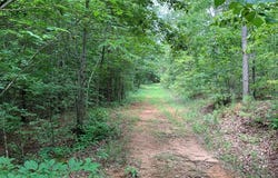 County Road 249, Woodland, AL 36280