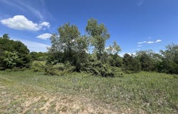 Talon Trace, Bellaire, MI 49615