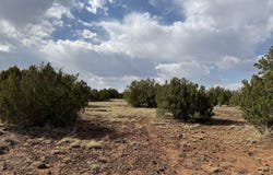 291 County Rd 8052, Concho, AZ 85924